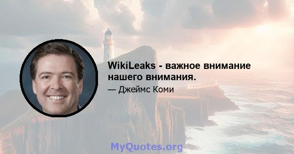 WikiLeaks - важное внимание нашего внимания.