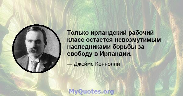 Только ирландский рабочий класс остается невозмутимым наследниками борьбы за свободу в Ирландии.