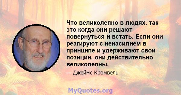 Что великолепно в людях, так это когда они решают повернуться и встать. Если они реагируют с ненасилием в принципе и удерживают свои позиции, они действительно великолепны.