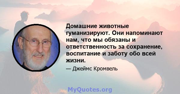 Домашние животные гуманизируют. Они напоминают нам, что мы обязаны и ответственность за сохранение, воспитание и заботу обо всей жизни.