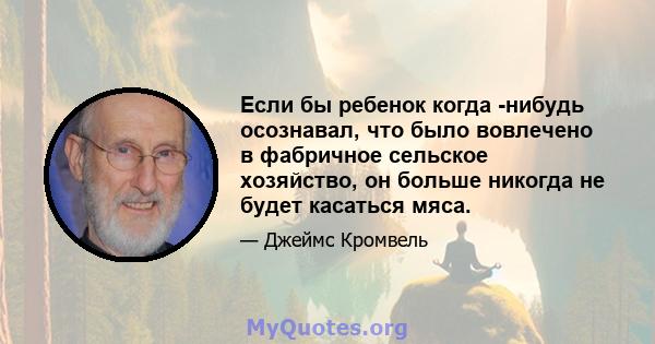 Если бы ребенок когда -нибудь осознавал, что было вовлечено в фабричное сельское хозяйство, он больше никогда не будет касаться мяса.