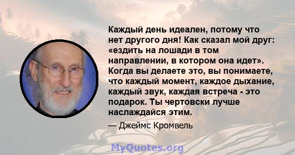 Каждый день идеален, потому что нет другого дня! Как сказал мой друг: «ездить на лошади в том направлении, в котором она идет». Когда вы делаете это, вы понимаете, что каждый момент, каждое дыхание, каждый звук, каждая