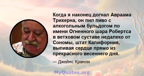 Когда я наконец догнал Авраама Трихерна, он пил пиво с алкогольным бульдогом по имени Огненного шара Робертса в ветховом суставе недалеко от Сономы, штат Калифорния, выпивая сердце прямо из прекрасного весеннего дня.