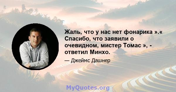 Жаль, что у нас нет фонарика ».« Спасибо, что заявили о очевидном, мистер Томас », - ответил Минхо.