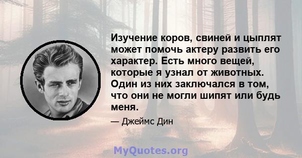 Изучение коров, свиней и цыплят может помочь актеру развить его характер. Есть много вещей, которые я узнал от животных. Один из них заключался в том, что они не могли шипят или будь меня.