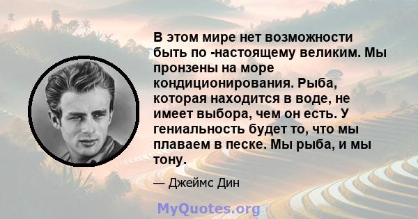 В этом мире нет возможности быть по -настоящему великим. Мы пронзены на море кондиционирования. Рыба, которая находится в воде, не имеет выбора, чем он есть. У гениальность будет то, что мы плаваем в песке. Мы рыба, и