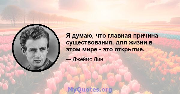 Я думаю, что главная причина существования, для жизни в этом мире - это открытие.