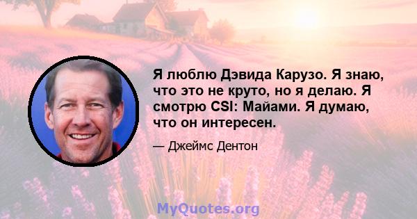 Я люблю Дэвида Карузо. Я знаю, что это не круто, но я делаю. Я смотрю CSI: Майами. Я думаю, что он интересен.