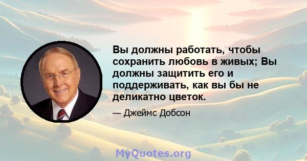 Вы должны работать, чтобы сохранить любовь в живых; Вы должны защитить его и поддерживать, как вы бы не деликатно цветок.