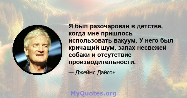 Я был разочарован в детстве, когда мне пришлось использовать вакуум. У него был кричащий шум, запах несвежей собаки и отсутствие производительности.