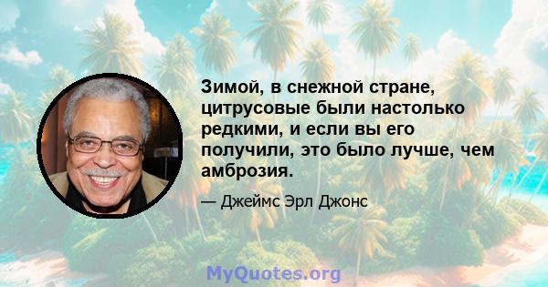 Зимой, в снежной стране, цитрусовые были настолько редкими, и если вы его получили, это было лучше, чем амброзия.