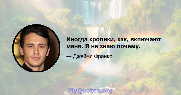 Иногда кролики, как, включают меня. Я не знаю почему.