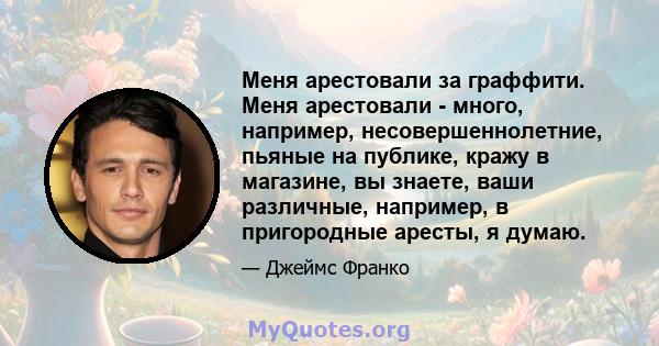 Меня арестовали за граффити. Меня арестовали - много, например, несовершеннолетние, пьяные на публике, кражу в магазине, вы знаете, ваши различные, например, в пригородные аресты, я думаю.