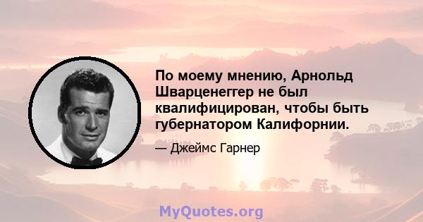 По моему мнению, Арнольд Шварценеггер не был квалифицирован, чтобы быть губернатором Калифорнии.