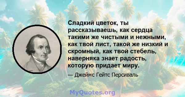 Сладкий цветок, ты рассказываешь, как сердца такими же чистыми и нежными, как твой лист, такой же низкий и скромный, как твой стебель, наверняка знает радость, которую придает миру.