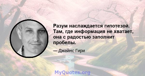 Разум наслаждается гипотезой. Там, где информация не хватает, она с радостью заполнит пробелы.