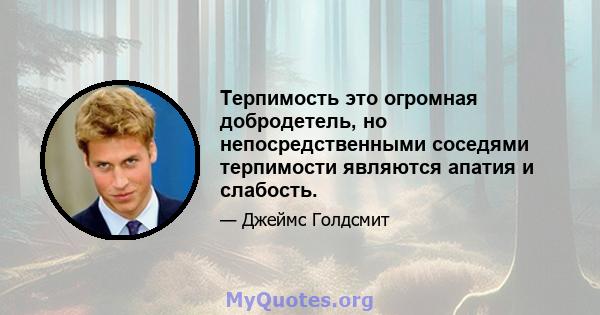 Терпимость это огромная добродетель, но непосредственными соседями терпимости являются апатия и слабость.