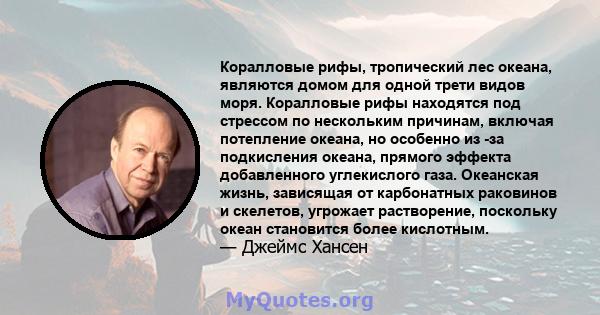 Коралловые рифы, тропический лес океана, являются домом для одной трети видов моря. Коралловые рифы находятся под стрессом по нескольким причинам, включая потепление океана, но особенно из -за подкисления океана,