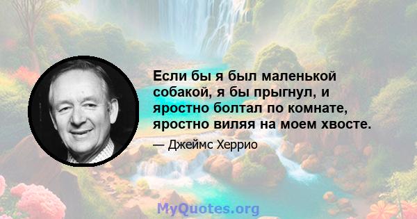 Если бы я был маленькой собакой, я бы прыгнул, и яростно болтал по комнате, яростно виляя на моем хвосте.