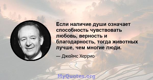 Если наличие души означает способность чувствовать любовь, верность и благодарность, тогда животных лучше, чем многие люди.