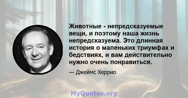 Животные - непредсказуемые вещи, и поэтому наша жизнь непредсказуема. Это длинная история о маленьких триумфах и бедствиях, и вам действительно нужно очень понравиться.