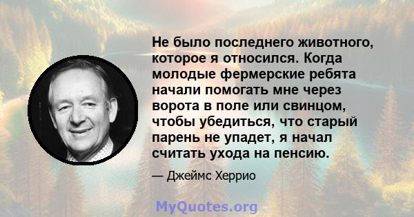 Не было последнего животного, которое я относился. Когда молодые фермерские ребята начали помогать мне через ворота в поле или свинцом, чтобы убедиться, что старый парень не упадет, я начал считать ухода на пенсию.