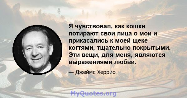 Я чувствовал, как кошки потирают свои лица о мои и прикасались к моей щеке когтями, тщательно покрытыми. Эти вещи, для меня, являются выражениями любви.