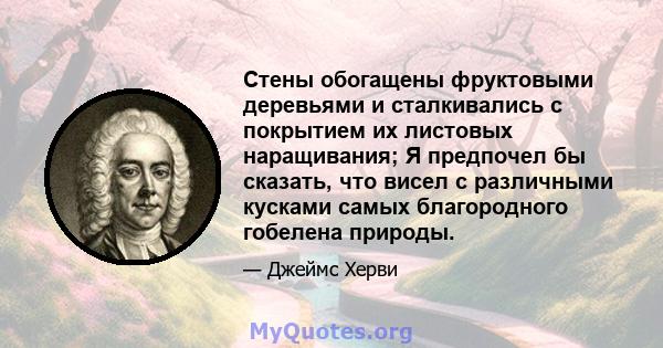 Стены обогащены фруктовыми деревьями и сталкивались с покрытием их листовых наращивания; Я предпочел бы сказать, что висел с различными кусками самых благородного гобелена природы.