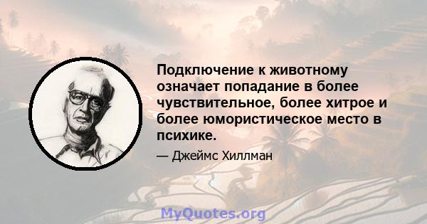 Подключение к животному означает попадание в более чувствительное, более хитрое и более юмористическое место в психике.