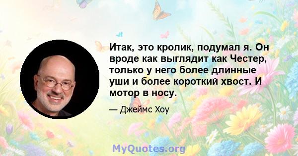 Итак, это кролик, подумал я. Он вроде как выглядит как Честер, только у него более длинные уши и более короткий хвост. И мотор в носу.