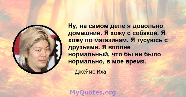 Ну, на самом деле я довольно домашний. Я хожу с собакой. Я хожу по магазинам. Я тусуюсь с друзьями. Я вполне нормальный, что бы ни было нормально, в мое время.