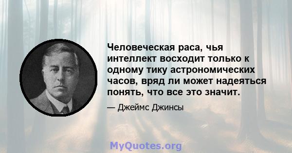 Человеческая раса, чья интеллект восходит только к одному тику астрономических часов, вряд ли может надеяться понять, что все это значит.