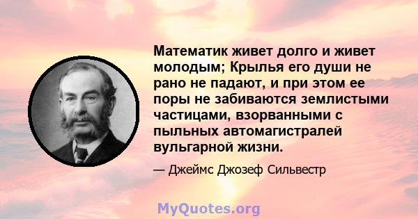 Математик живет долго и живет молодым; Крылья его души не рано не падают, и при этом ее поры не забиваются землистыми частицами, взорванными с пыльных автомагистралей вульгарной жизни.