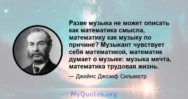 Разве музыка не может описать как математика смысла, математику как музыку по причине? Музыкант чувствует себя математикой, математик думает о музыке: музыка мечта, математика трудовая жизнь.