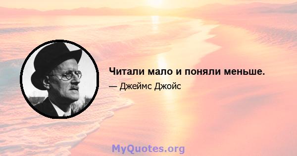 Читали мало и поняли меньше.