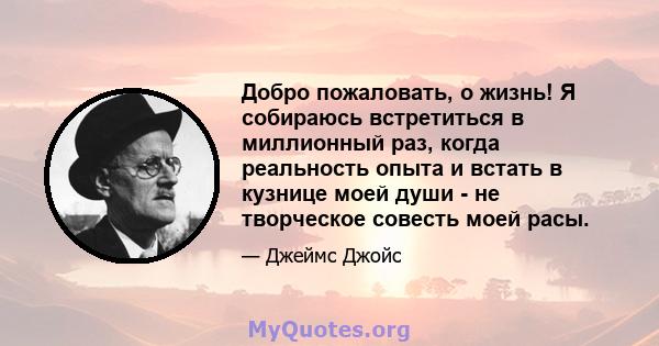 Добро пожаловать, о жизнь! Я собираюсь встретиться в миллионный раз, когда реальность опыта и встать в кузнице моей души - не творческое совесть моей расы.