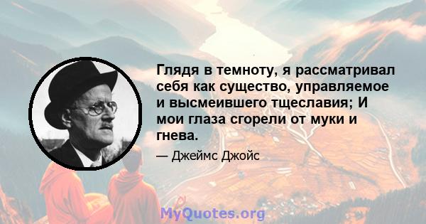 Глядя в темноту, я рассматривал себя как существо, управляемое и высмеившего тщеславия; И мои глаза сгорели от муки и гнева.