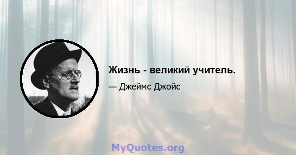 Жизнь - великий учитель.