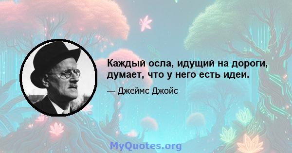 Каждый осла, идущий на дороги, думает, что у него есть идеи.