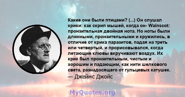 Какие они были птицами? (...) Он слушал крики: как скрип мышей, когда он- Wainscot: пронзительная двойная нота. Но ноты были длинными, пронзительными и кружились, в отличие от крика паразитов, падая на треть или