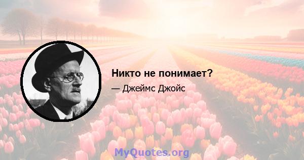 Никто не понимает?