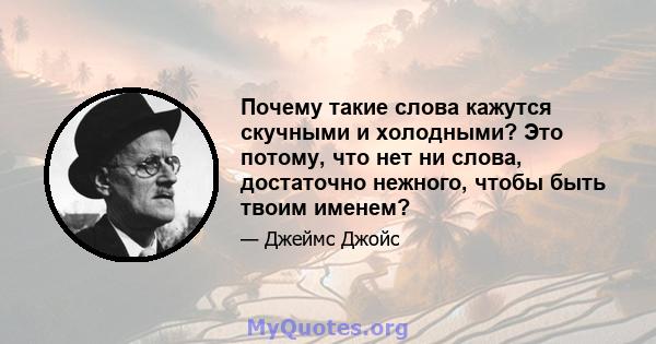 Почему такие слова кажутся скучными и холодными? Это потому, что нет ни слова, достаточно нежного, чтобы быть твоим именем?