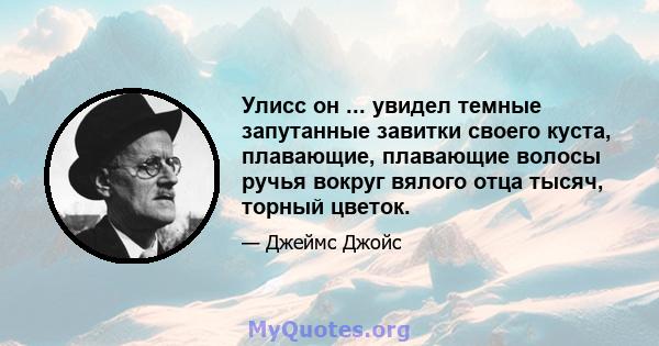 Улисс он ... увидел темные запутанные завитки своего куста, плавающие, плавающие волосы ручья вокруг вялого отца тысяч, торный цветок.