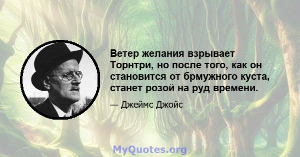 Ветер желания взрывает Торнтри, но после того, как он становится от брмужного куста, станет розой на руд времени.