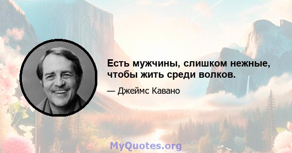 Есть мужчины, слишком нежные, чтобы жить среди волков.