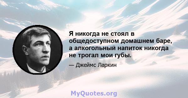 Я никогда не стоял в общедоступном домашнем баре, а алкогольный напиток никогда не трогал мои губы.