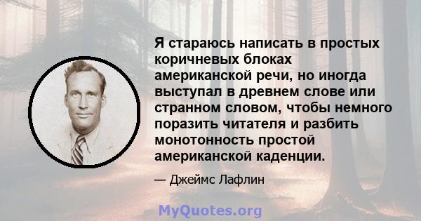 Я стараюсь написать в простых коричневых блоках американской речи, но иногда выступал в древнем слове или странном словом, чтобы немного поразить читателя и разбить монотонность простой американской каденции.