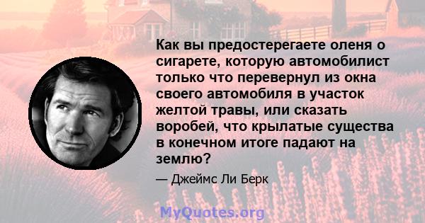 Как вы предостерегаете оленя о сигарете, которую автомобилист только что перевернул из окна своего автомобиля в участок желтой травы, или сказать воробей, что крылатые существа в конечном итоге падают на землю?