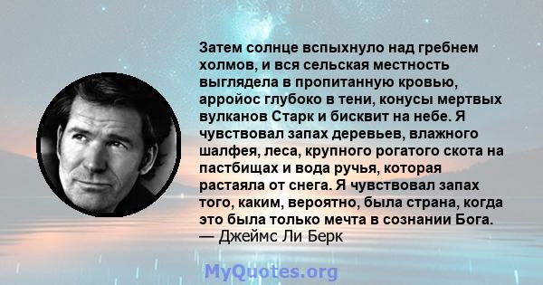 Затем солнце вспыхнуло над гребнем холмов, и вся сельская местность выглядела в пропитанную кровью, арройос глубоко в тени, конусы мертвых вулканов Старк и бисквит на небе. Я чувствовал запах деревьев, влажного шалфея,