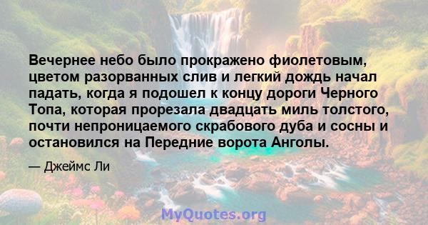 Вечернее небо было прокражено фиолетовым, цветом разорванных слив и легкий дождь начал падать, когда я подошел к концу дороги Черного Топа, которая прорезала двадцать миль толстого, почти непроницаемого скрабового дуба